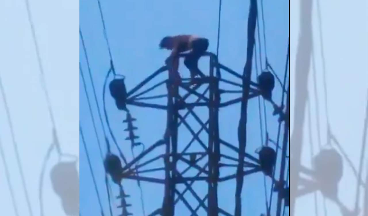 Hyderabad: Angry drunk man climbs high-tension electriciy tower after ...