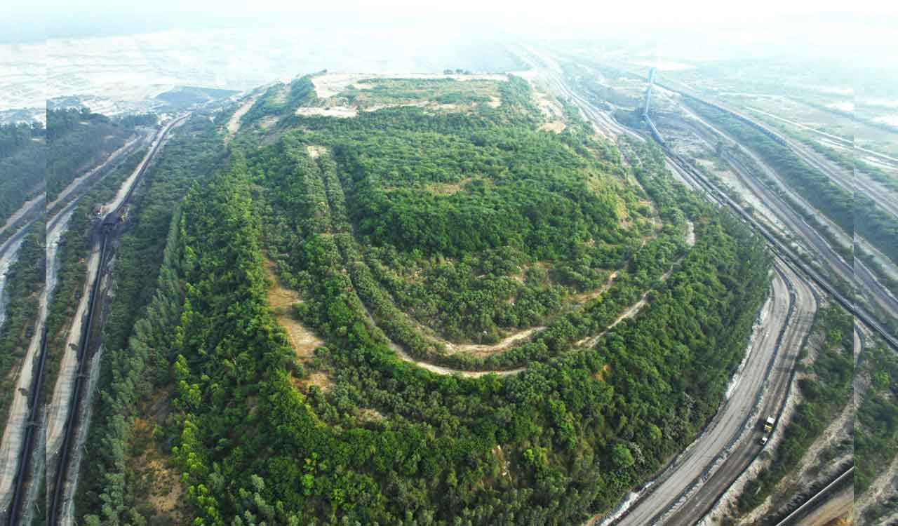 CMD becomes tree man of Telangana’s Singareni