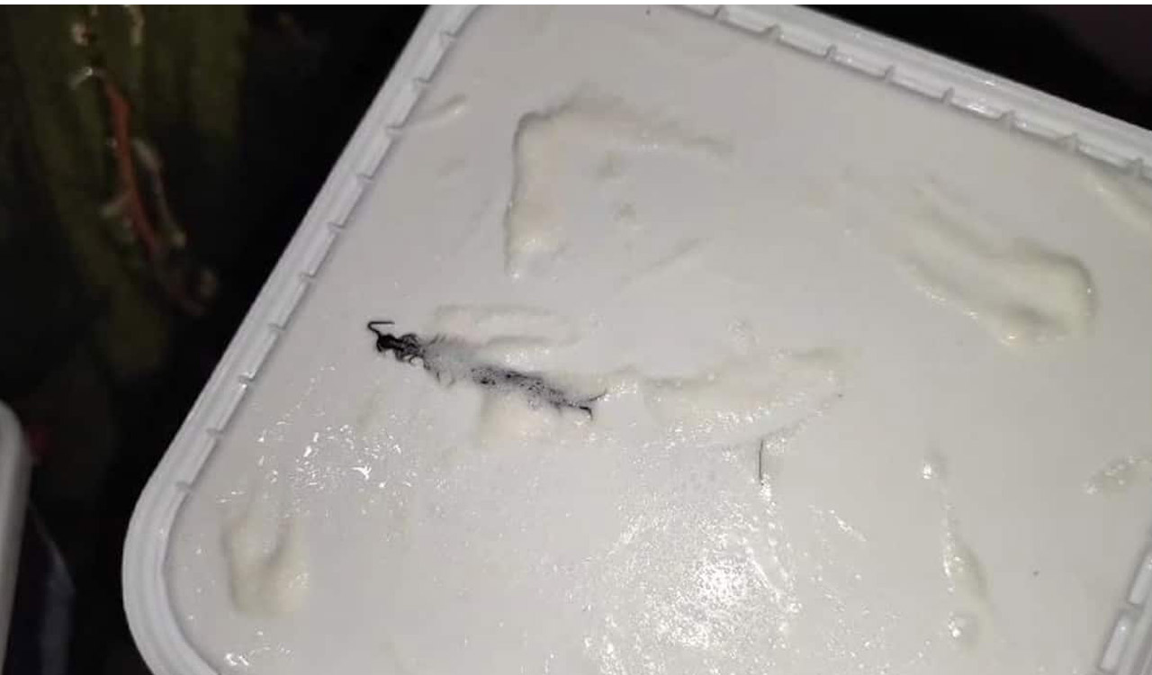 Centipede in ice-cream: Amul asks Noida customer to return tub for investigation