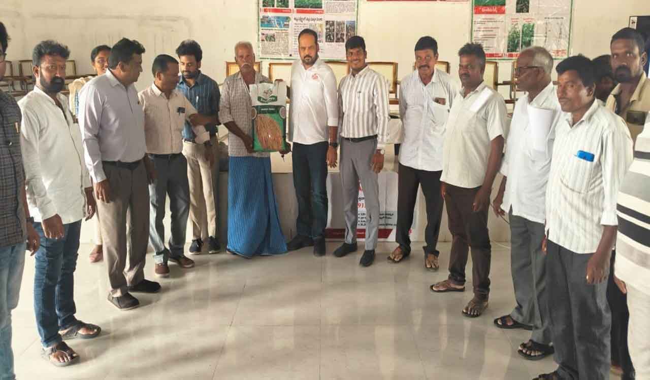 Direct seed of rice best suits for Sannalu: Experts