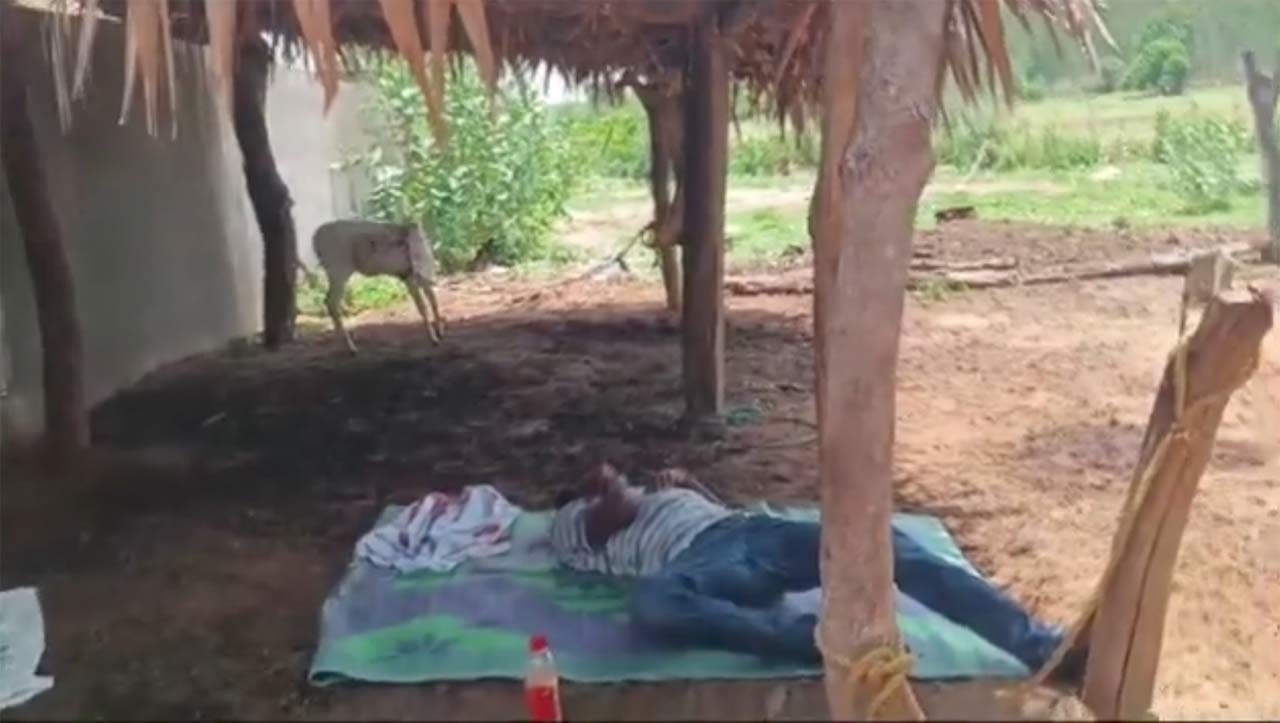 Telangana: Villagers confine inebriated government teacher to cattle shed