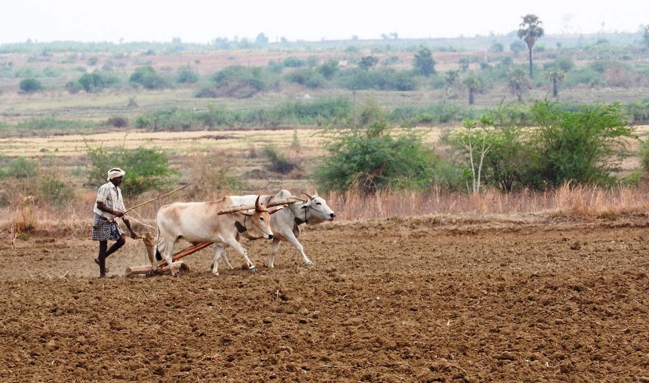 Farmers begin operations for Vanakalam in erstwhile Adilabad