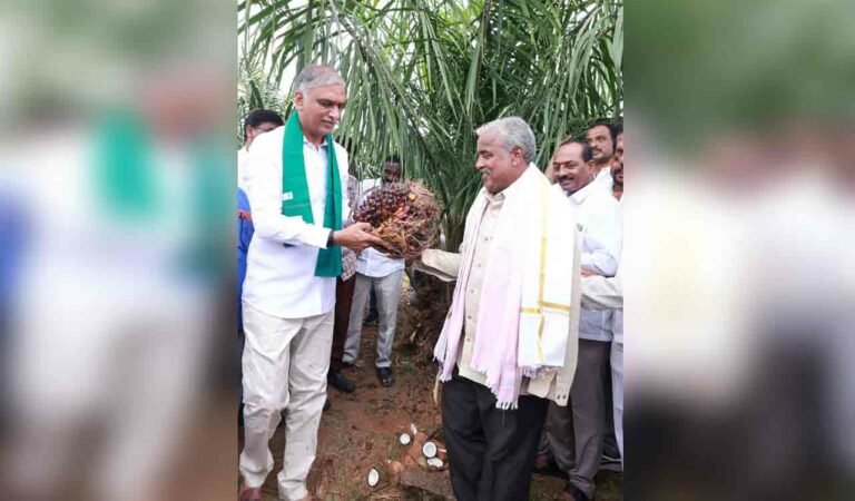 Enhance custom duty on oil palm, says Harish