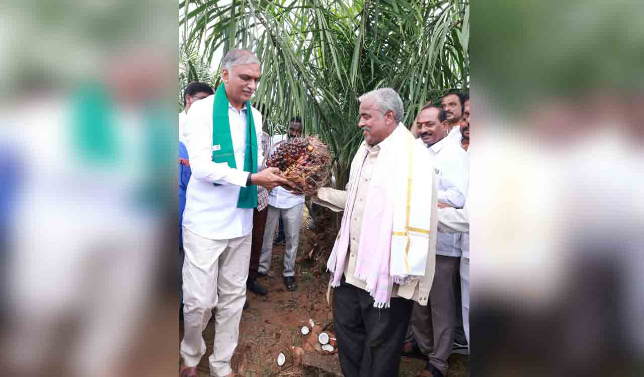 Enhance custom duty on oil palm, says Harish