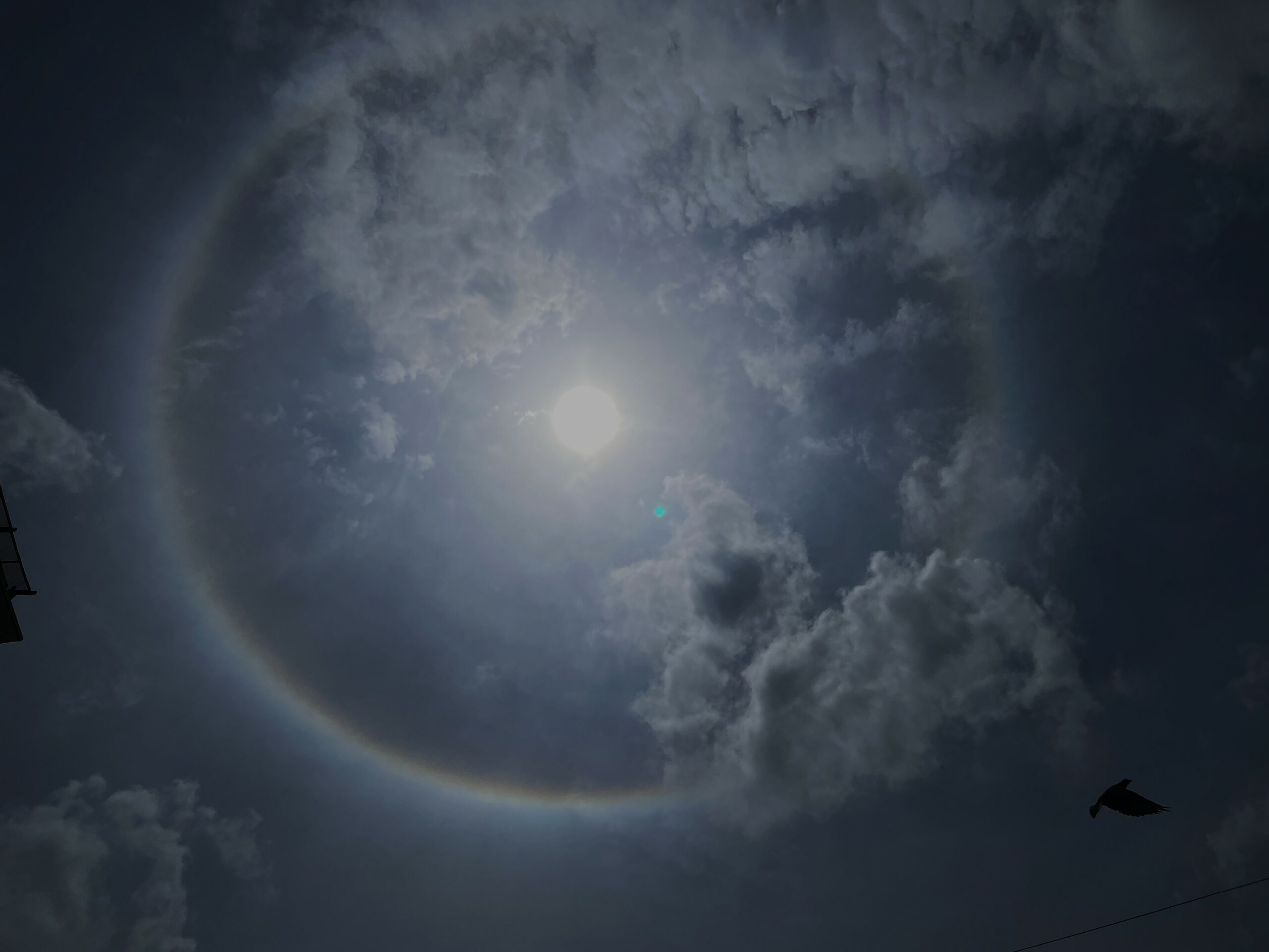 Hyderabadis witness sun halo on Wednesday. Here’s what it means ...