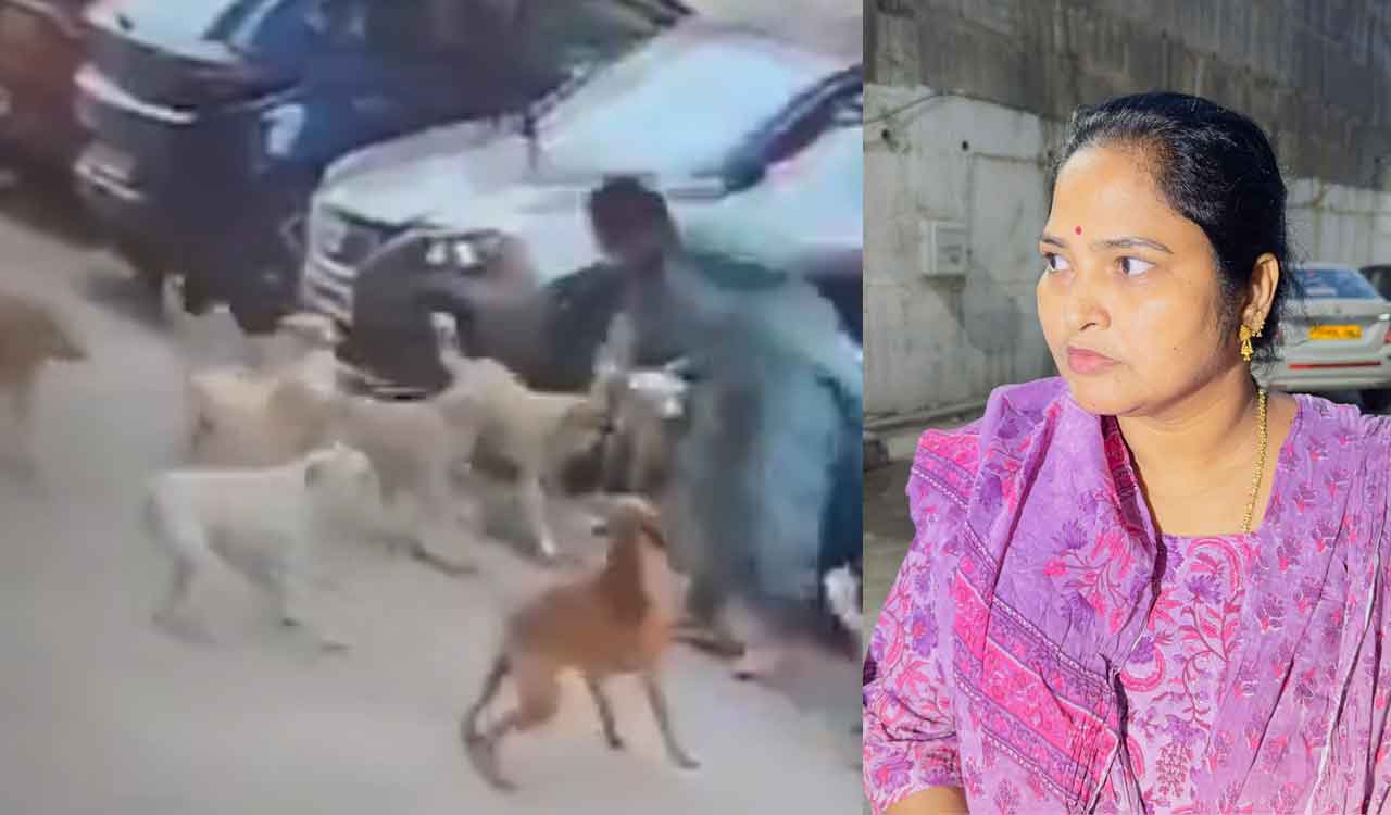 Hyderabad: Woman attacked by pack of stray dogs in Manikonda