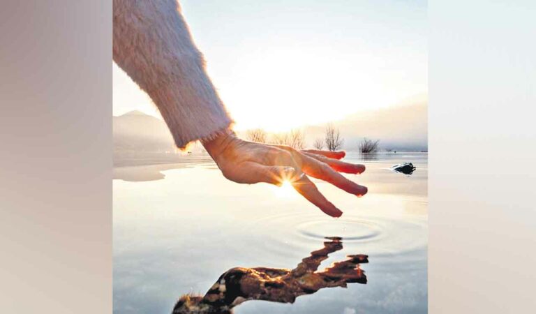 Learning From Nature