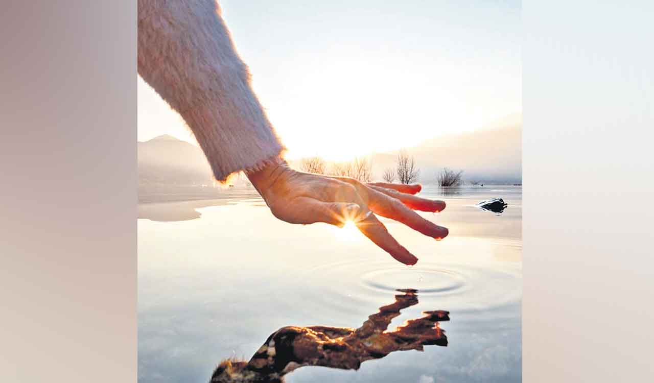 Opinion: Learning from nature