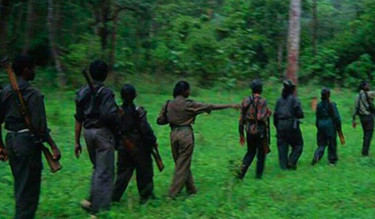 Eight Naxals, One Security Personnel Killed In Chhattisgarh Encounter ...