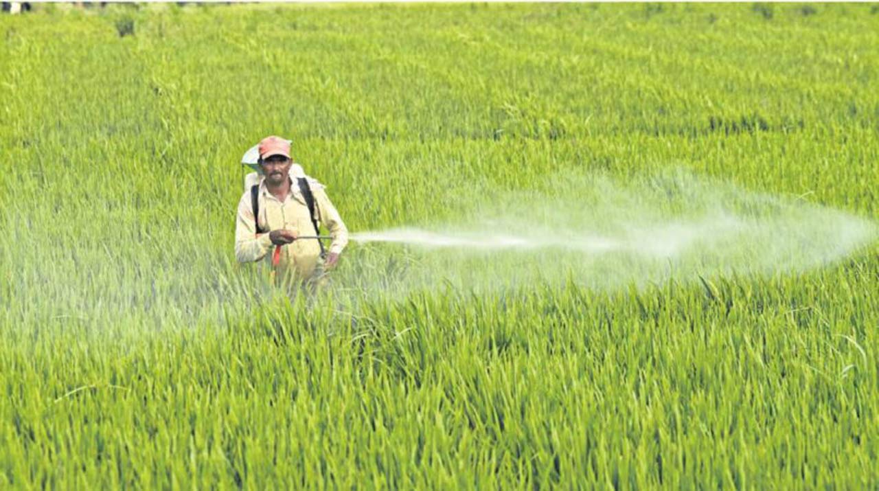 Major crops may rule stable prices: Market Intelligence Centre ...