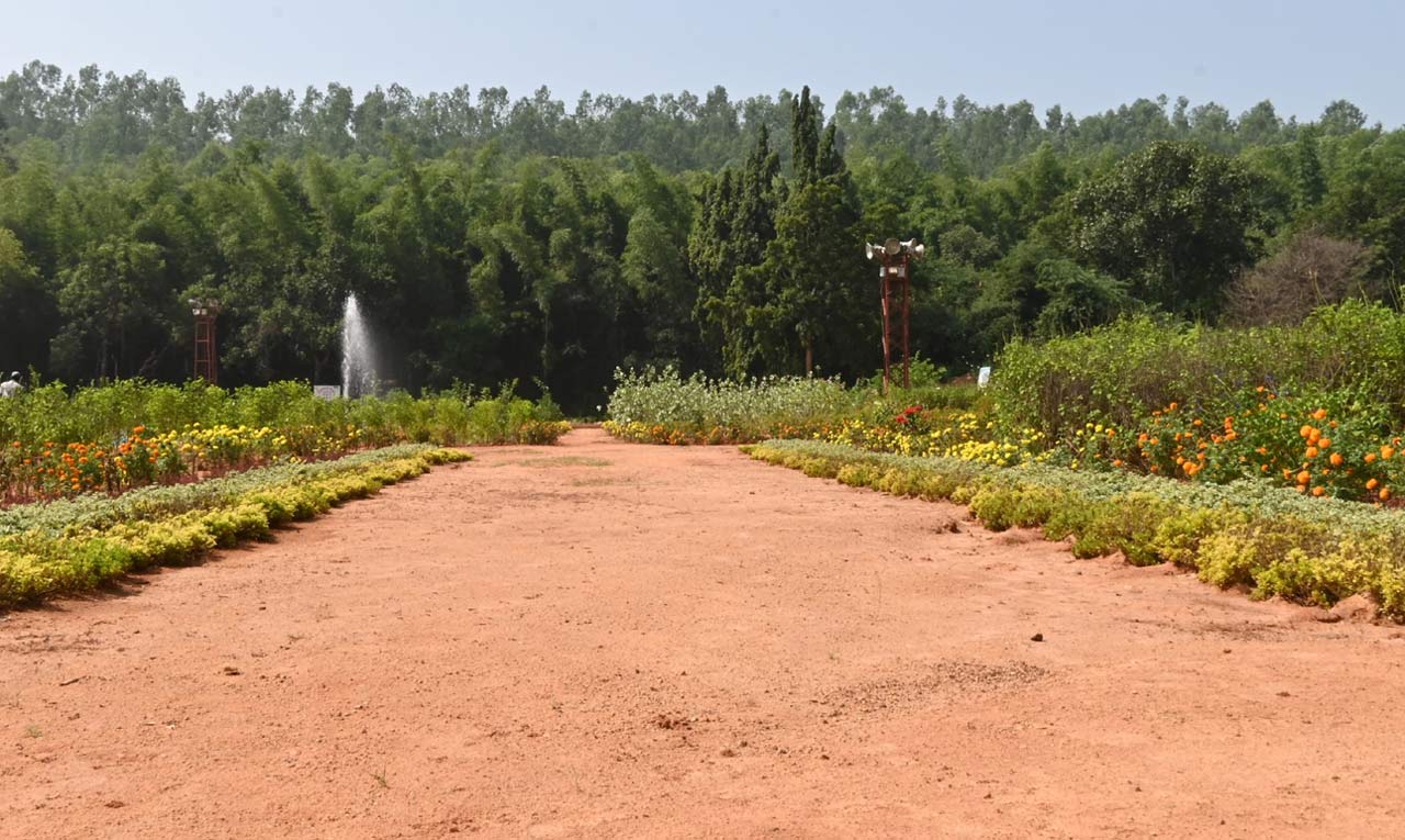 Singareni Collieries Company develops Eco Park in Kothagudem