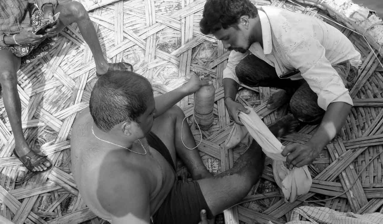 Shepherd injured in crocodile attack in Wanaparthy