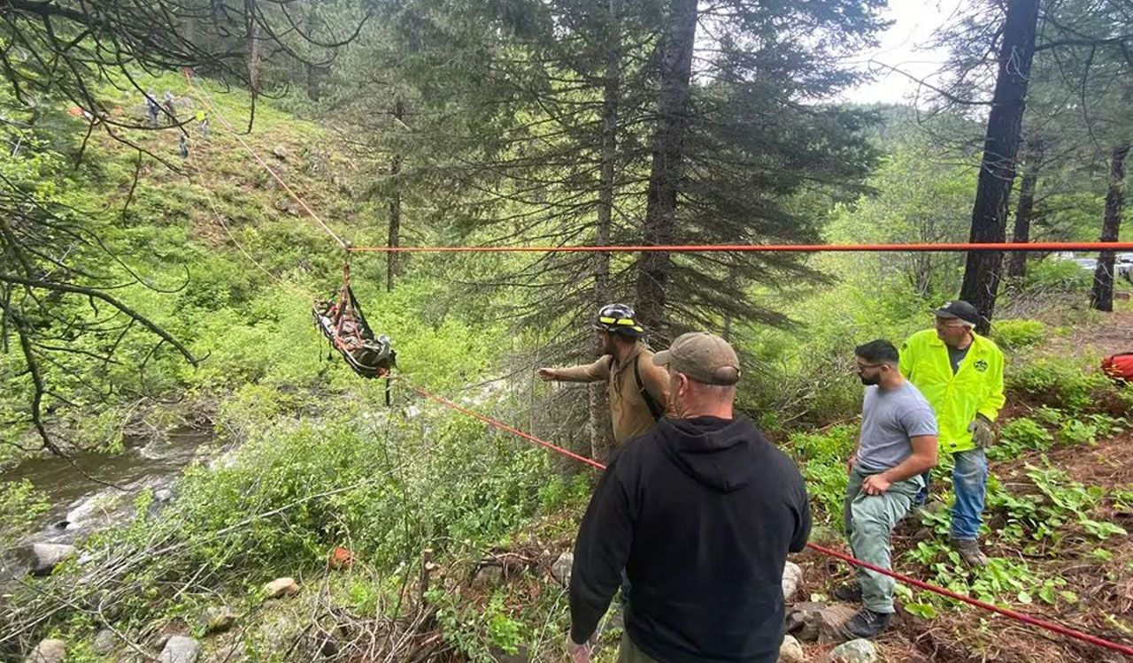 US: Dog runs miles to get help after owner’s vehicle falls in ravine