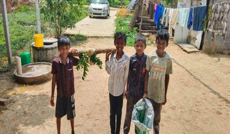 Frog wedding held as Siddipet farmers pray for rains