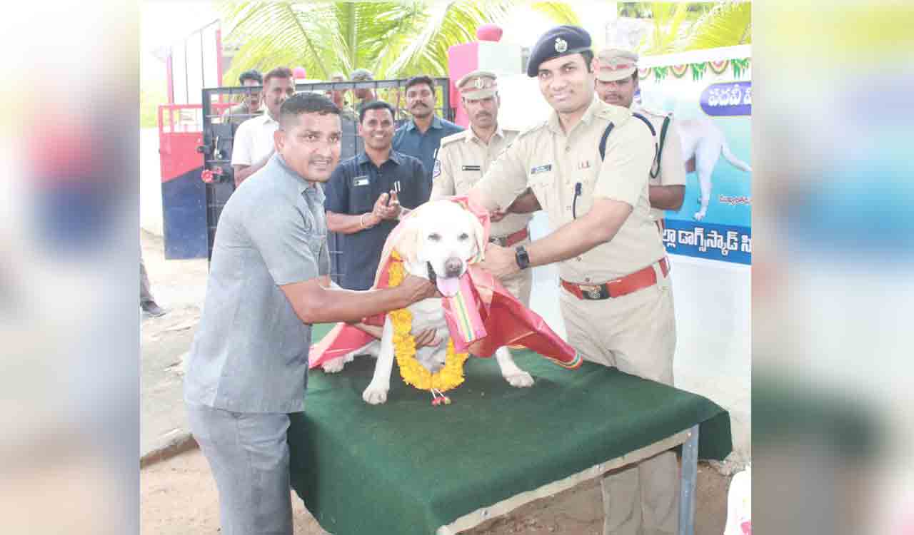 Thara retires after 12 yrs of stellar service