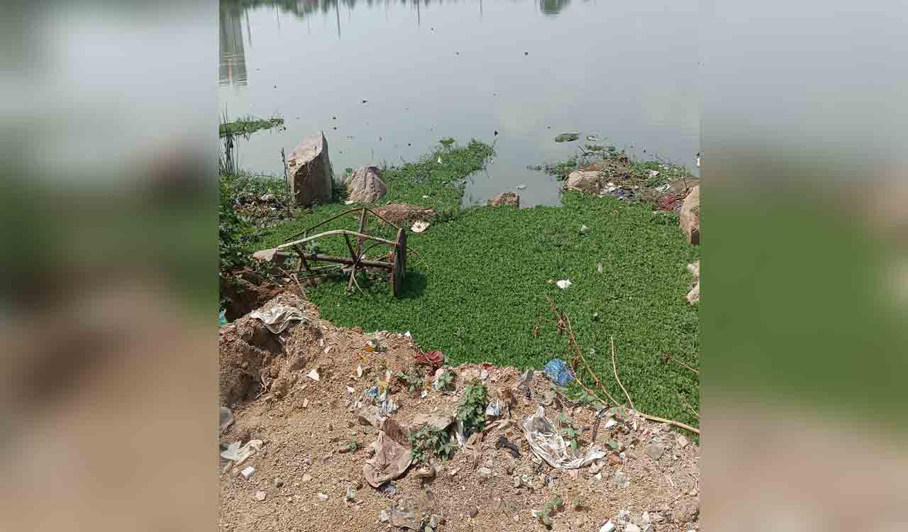 IDL lake cries for attention Locals