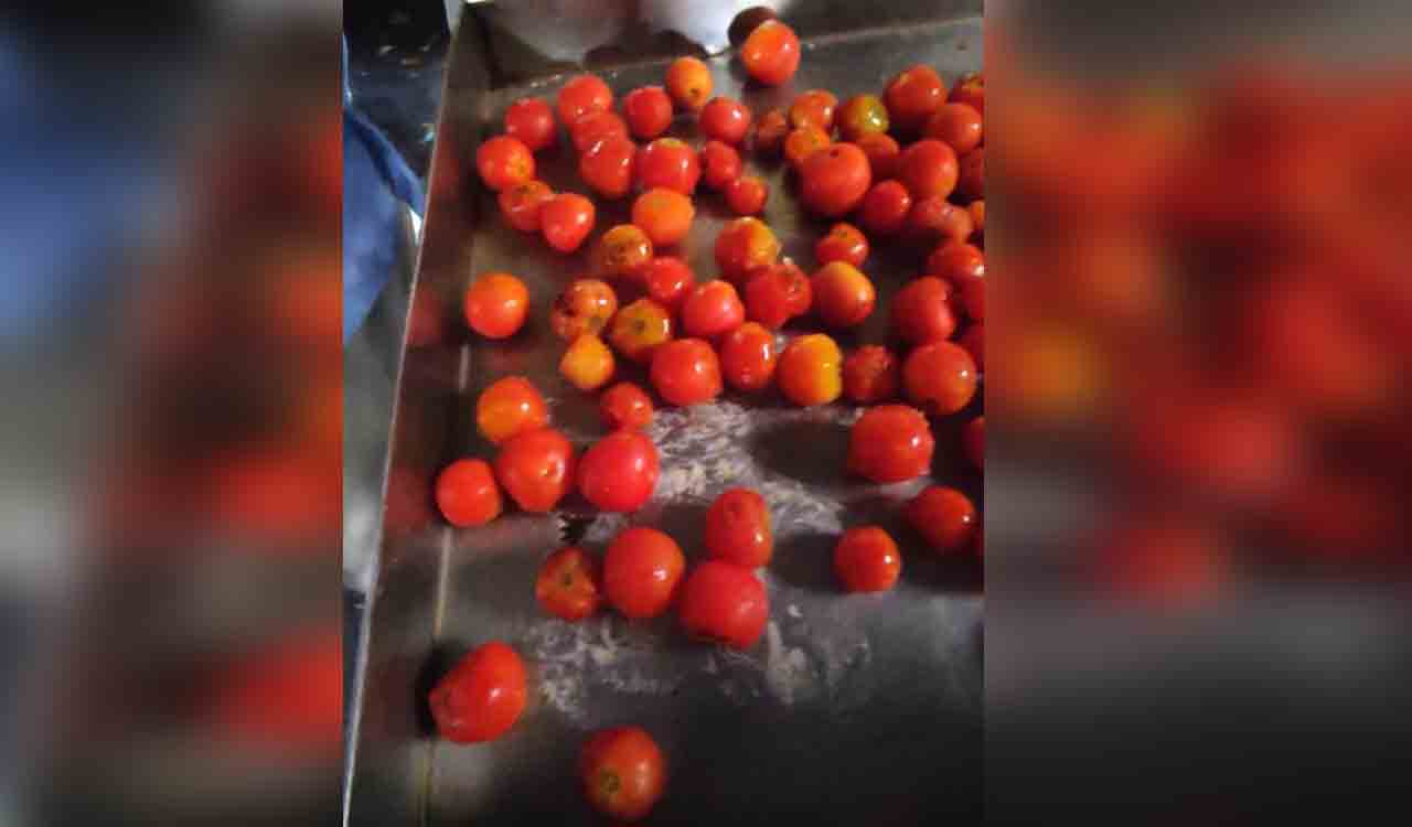 Rotten tomatoes, expired items found in raid on hotel and bakery in Sangareddy
