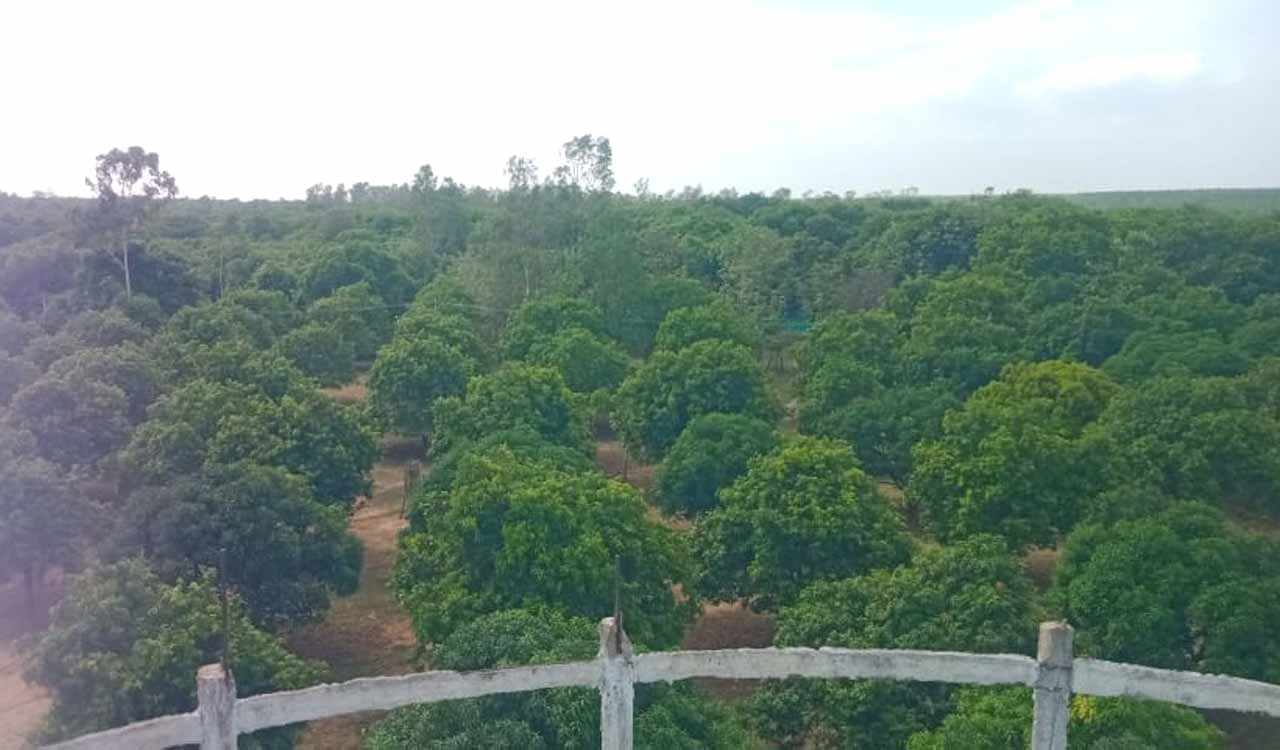 Villagers anxious over auctioning of Shravanapalli coal block