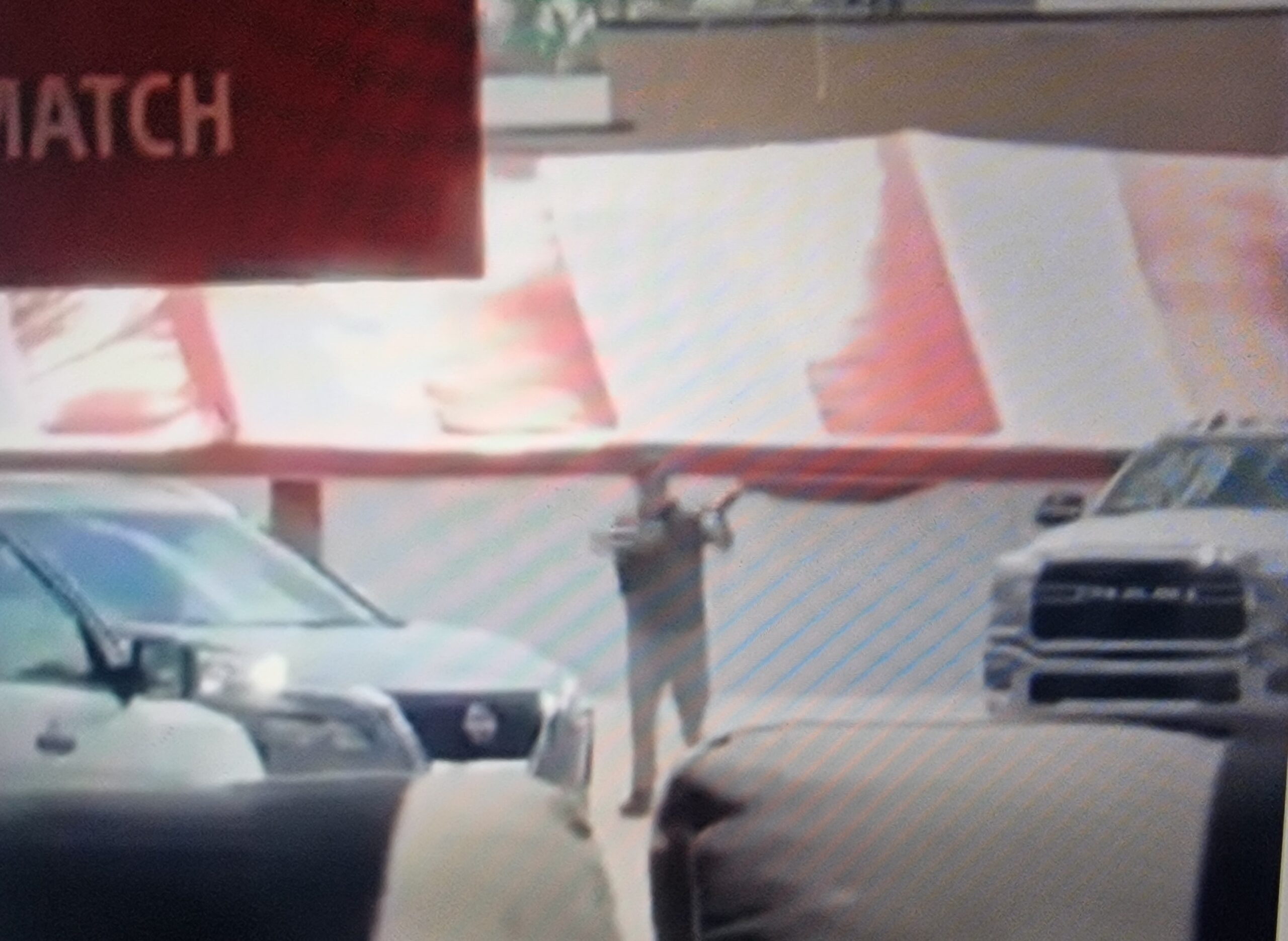 Three shot and 10 wounded in grocery store shooting in Arkansas