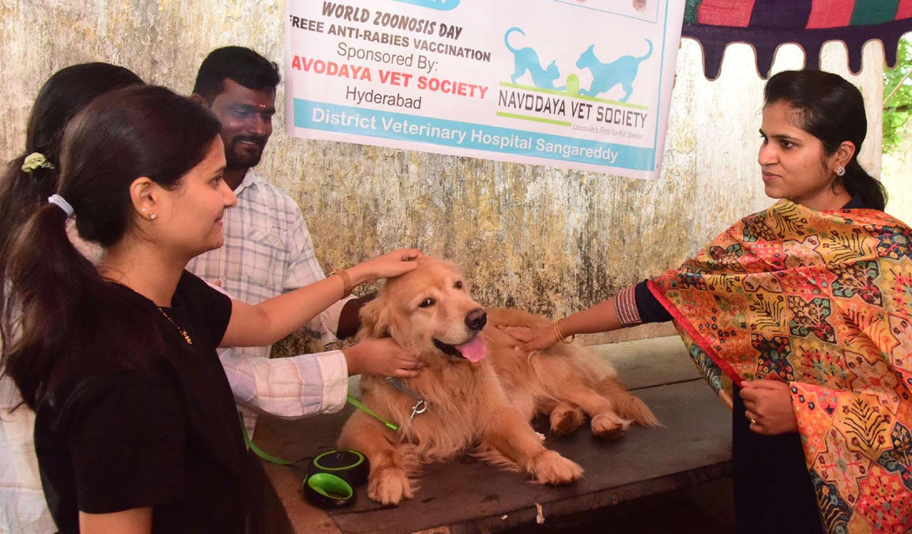 Collector urges vaccination for pets-Telangana Today