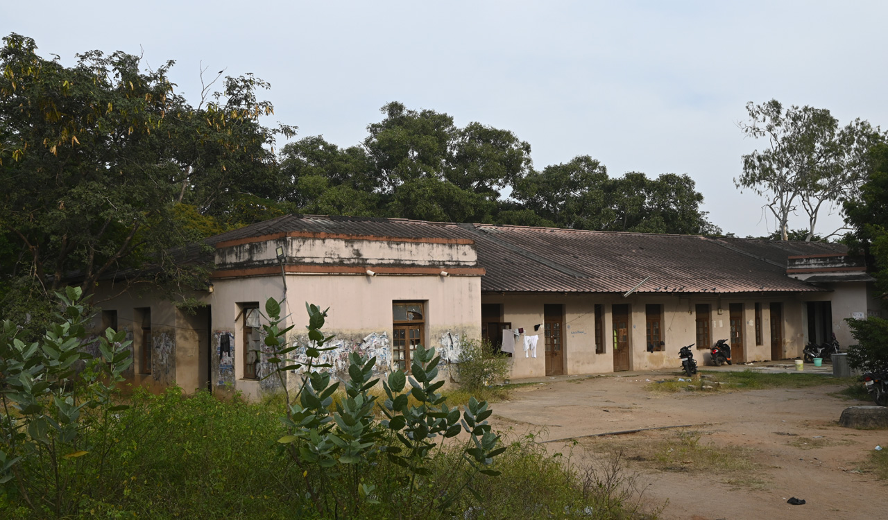 Telangana: 387 hostels inspected for food safety violations