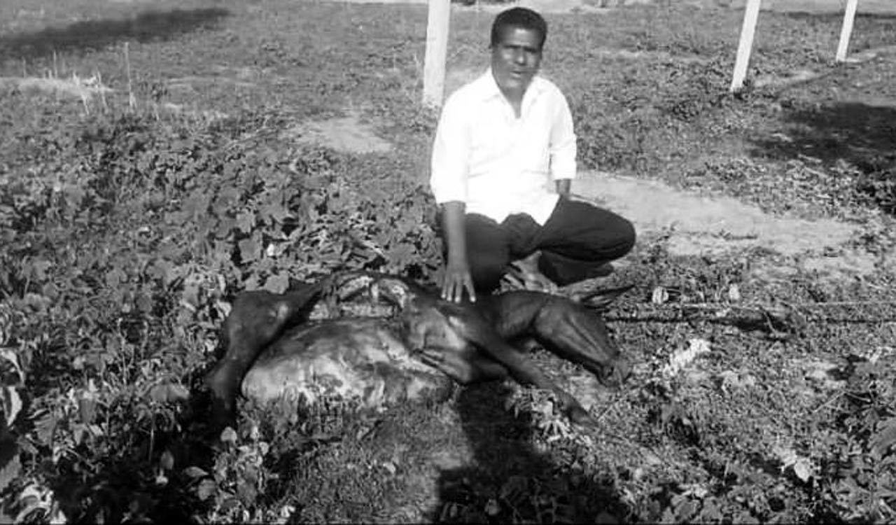 Leopards, hyenas, wild boars keep people in Medak on tenterhooks