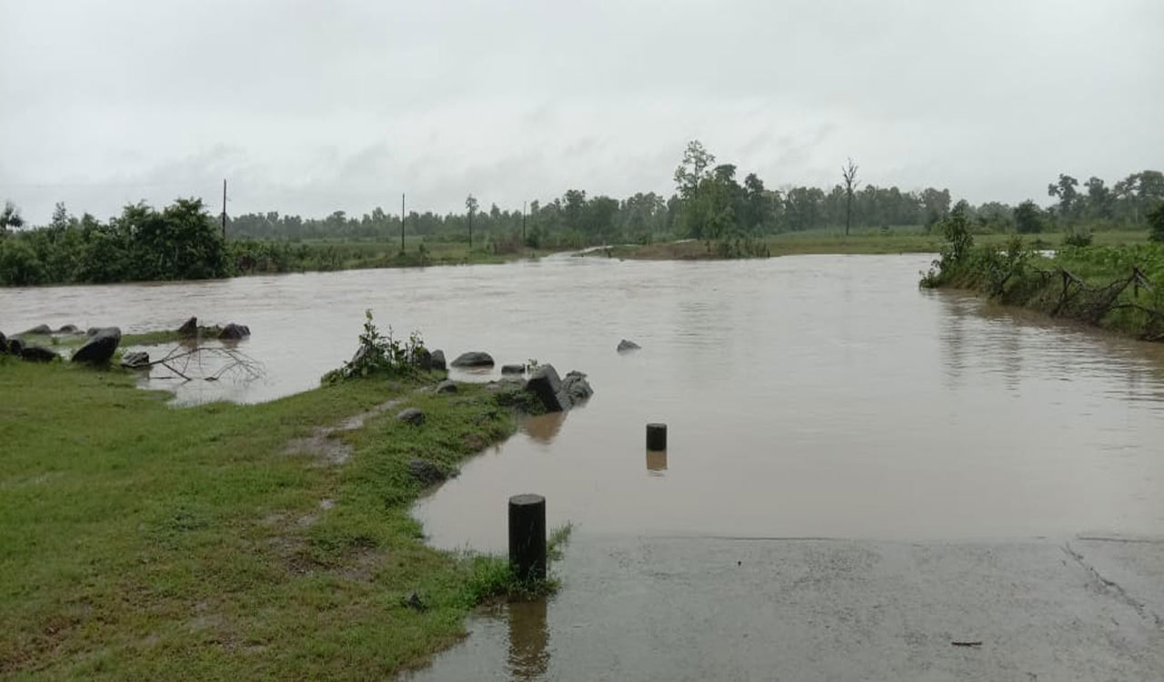 Asifabad: Bridge remains a long distant dream for villagers of Dimda