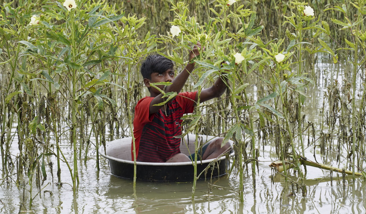 No let-up in Assam flood situation, over 24 lakh people affected