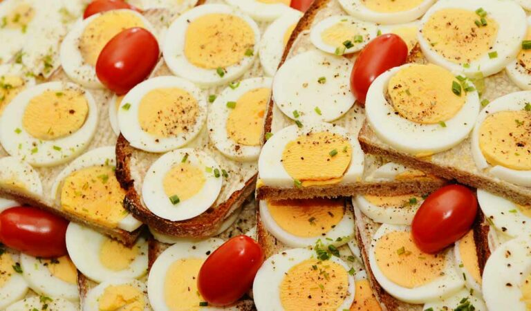 protein-rich diet