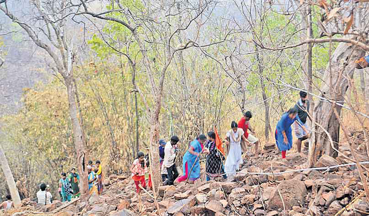 No entry for outsiders to Loddi Mallanna temple in Nallamala for ‘Toli Ekadasi’