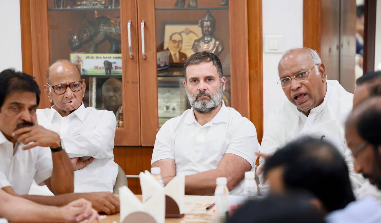 I.N.D.I.A bloc protests Union Budget in Parliament