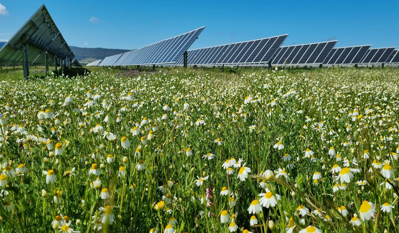 33 Indian farm labourers freed from ‘slavery’ in Italy, two arrested