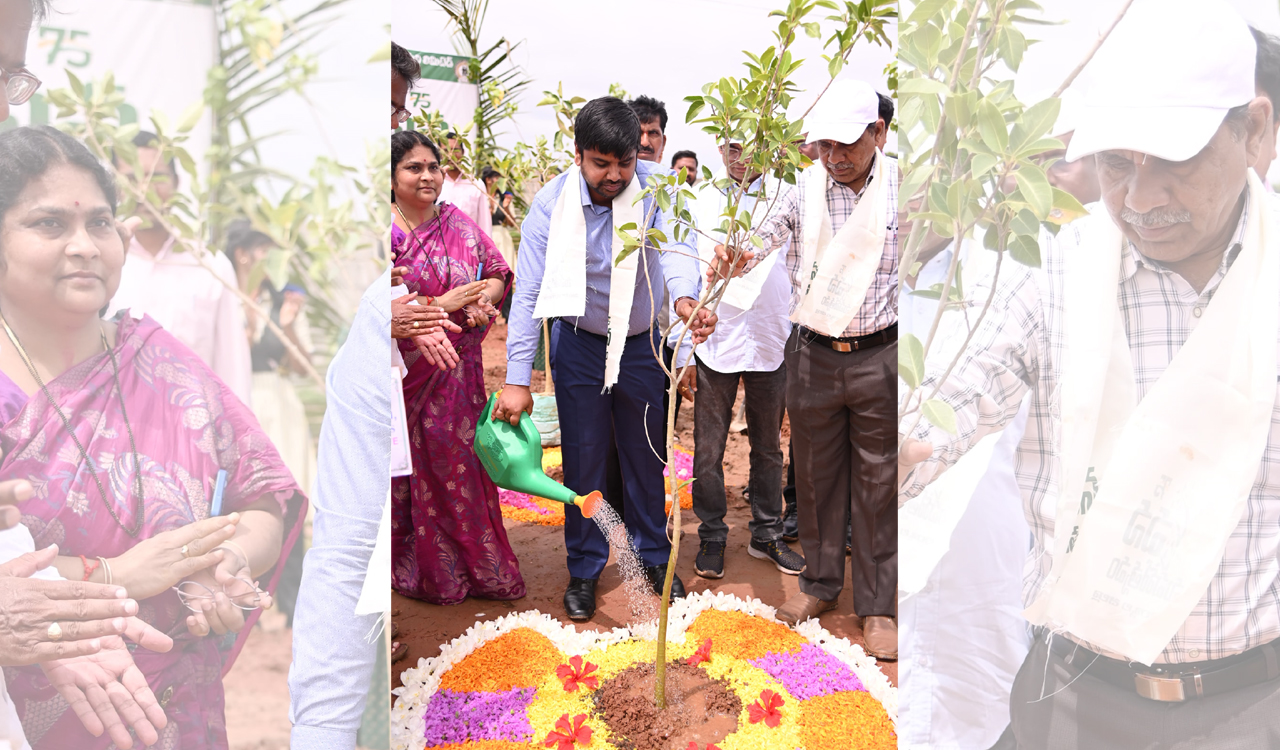 Mancherial Collector says plantation of saplings is everyone’s responsibility