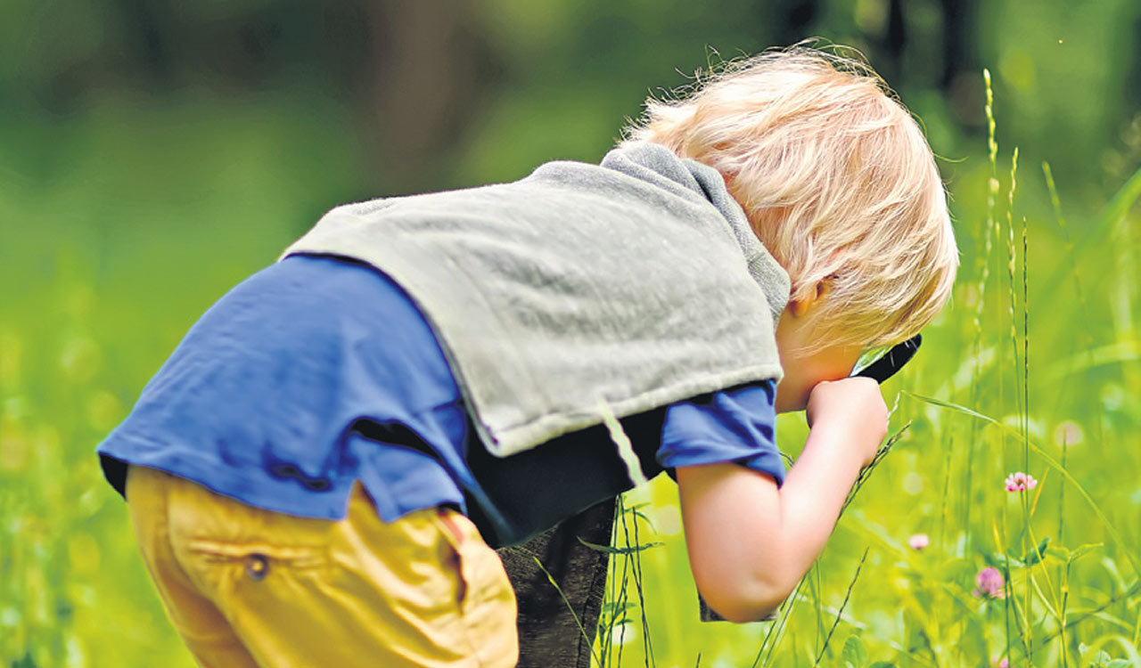 Opinion: Key to lifelong learning