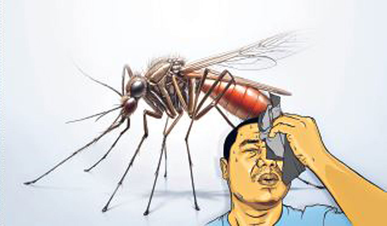 Seasonal diseases rampant in erstwhile Karimnagar