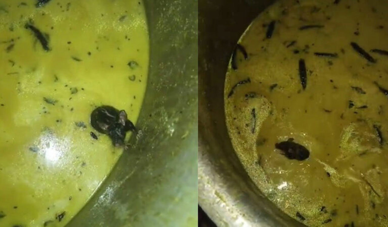 Watch: Rat takes a swim in chutney at Telangana’s Sulthanpur JNTU hostel canteen