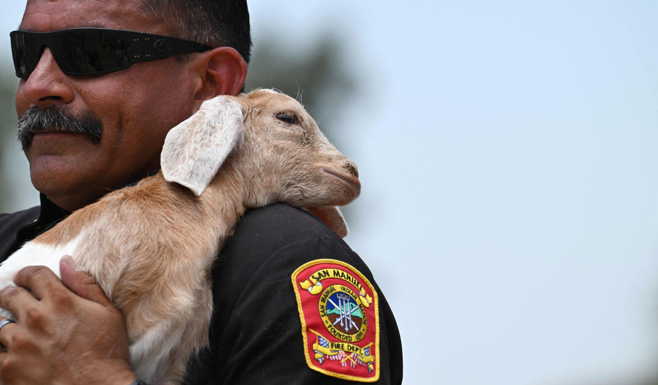 Wildfire rages through California, Arizona and parts of Canada