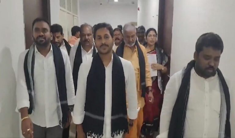 Ysrc Mlas