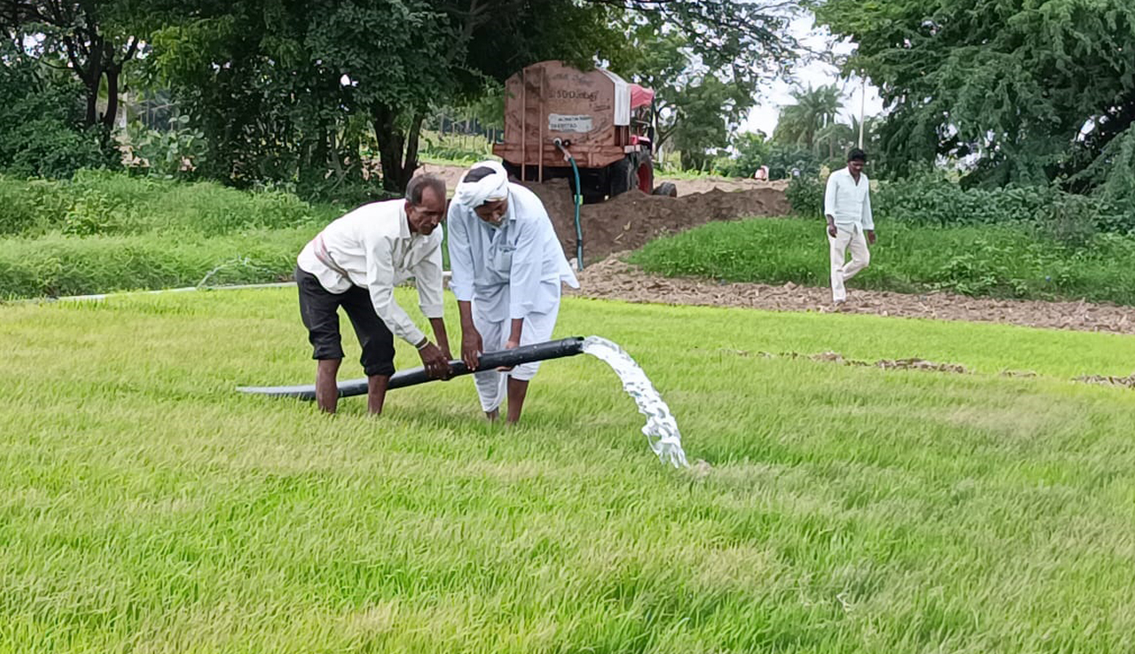 Farmer tries to save paddy nursery with water tankers in Sangareddy
