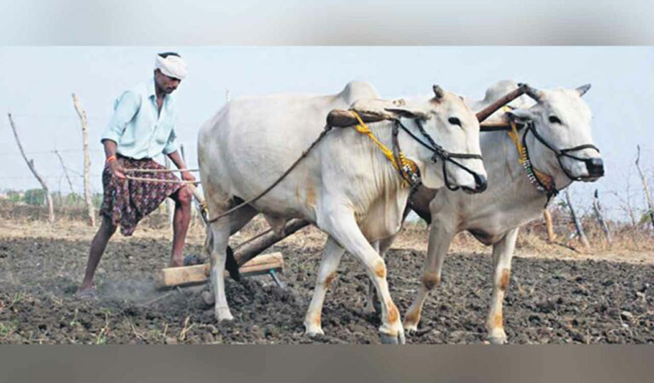 BRS Maharashtra unit to organise meeting of farmers’ unions at Pune ...