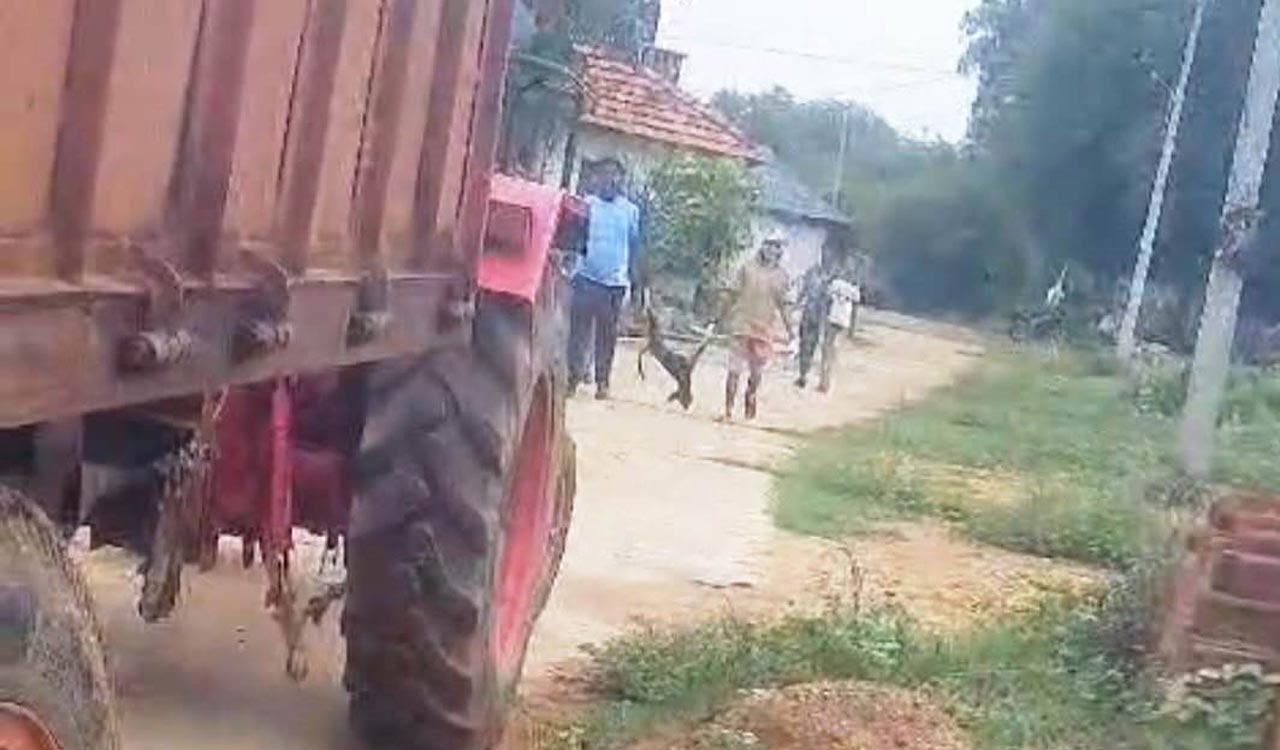 Stray dogs killed by poisoning in Dubbak: Complaint filed against civic workers