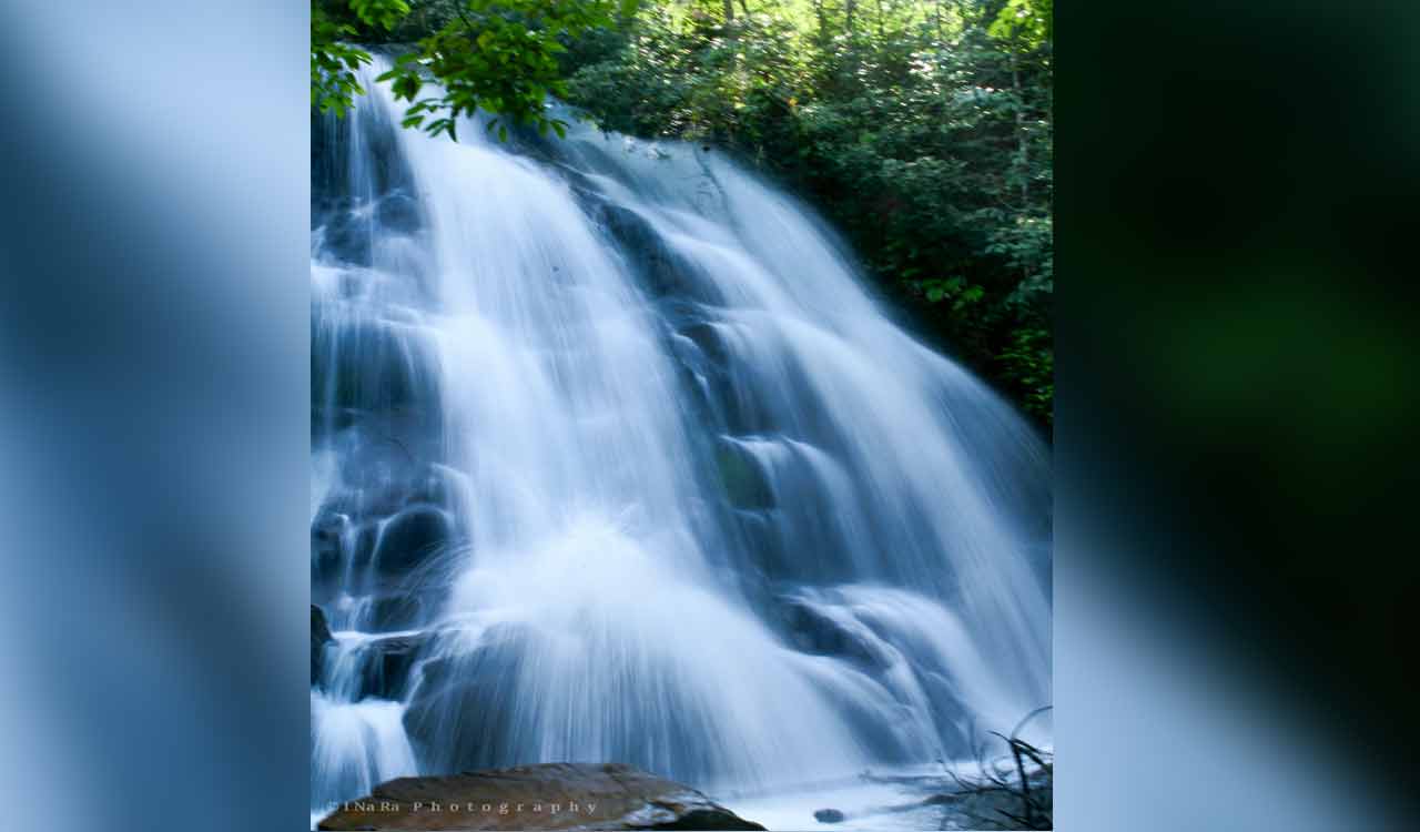 Warangal: Founder of Orugallu Wildlife Society visits over 100 waterfalls