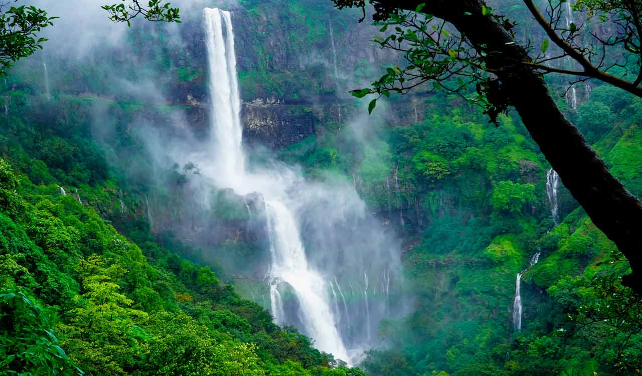 Warangal: Founder of Orugallu Wildlife Society visits over 100 waterfalls