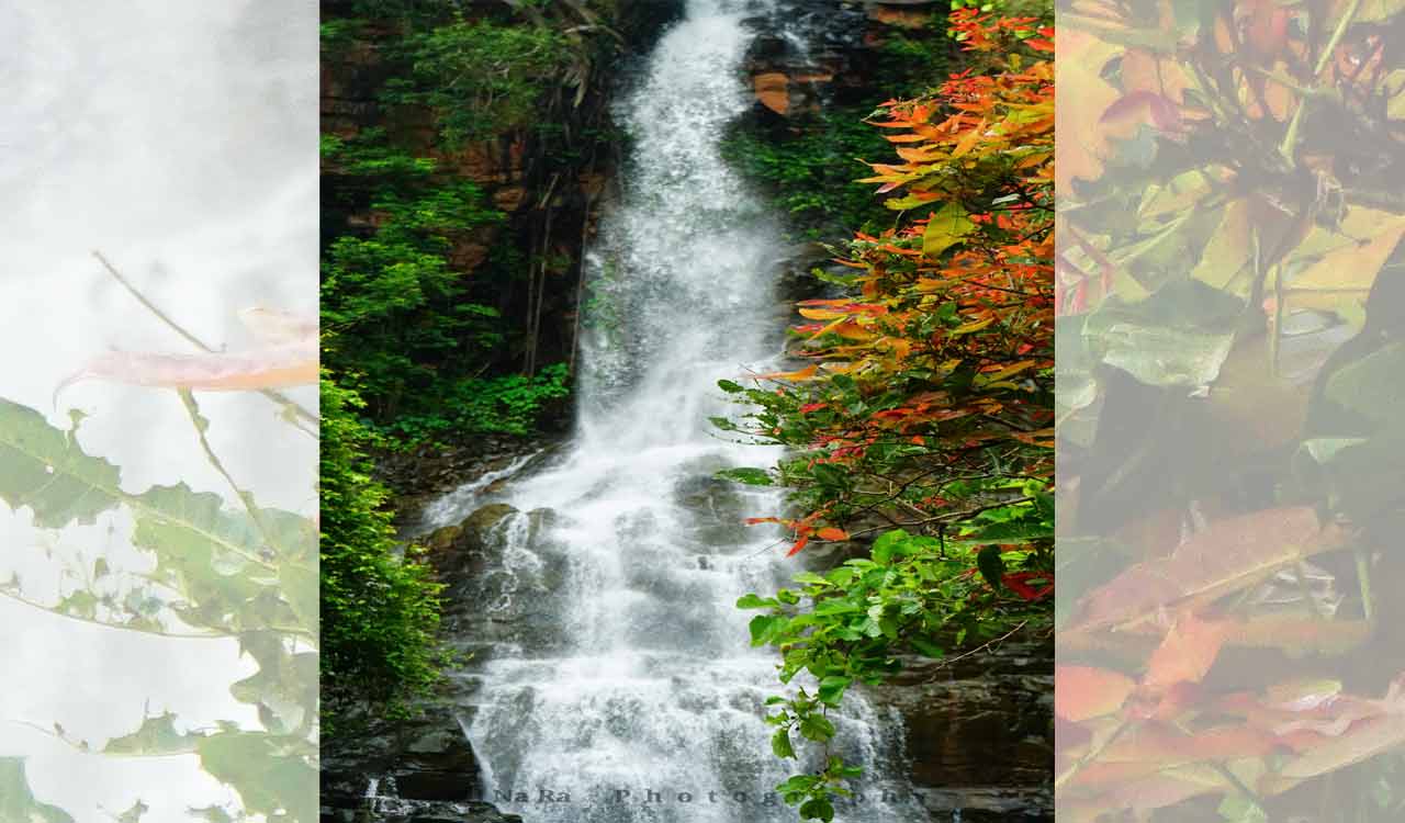 Warangal: Founder of Orugallu Wildlife Society visits over 100 waterfalls