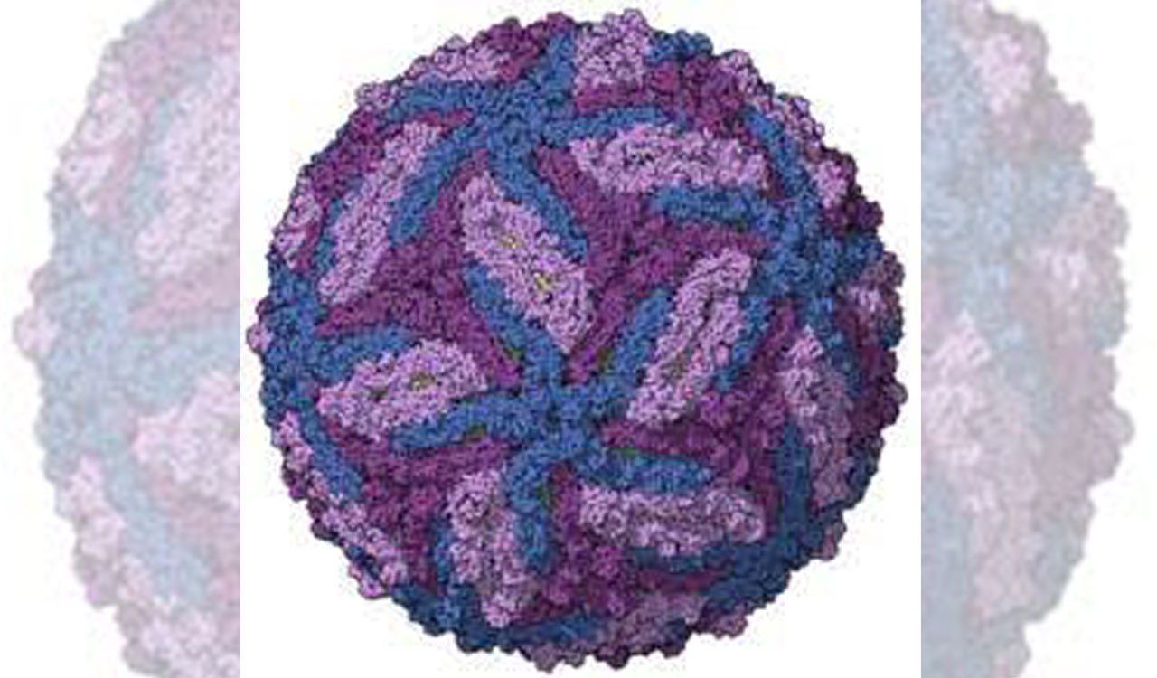 Zika cases rise to 8, Centre issues advisory of surveillance to all states