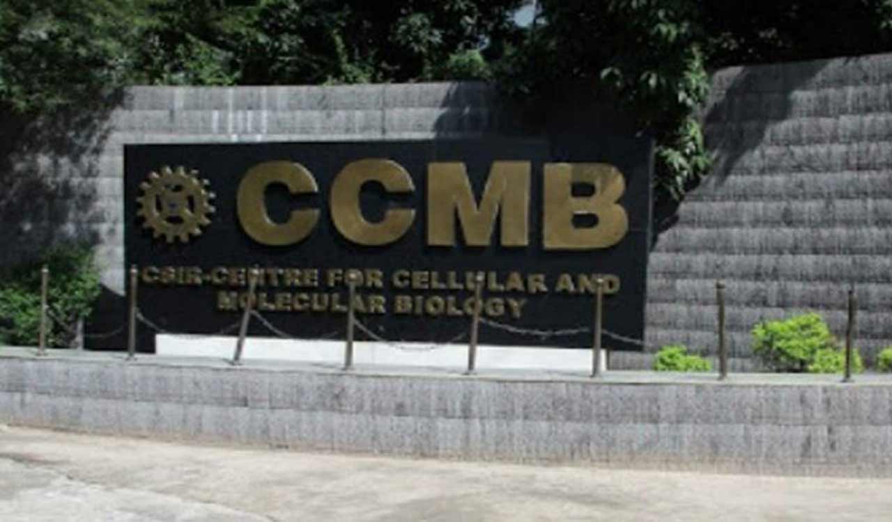 Hyderabad: CCMB invites applications for Ph.D program