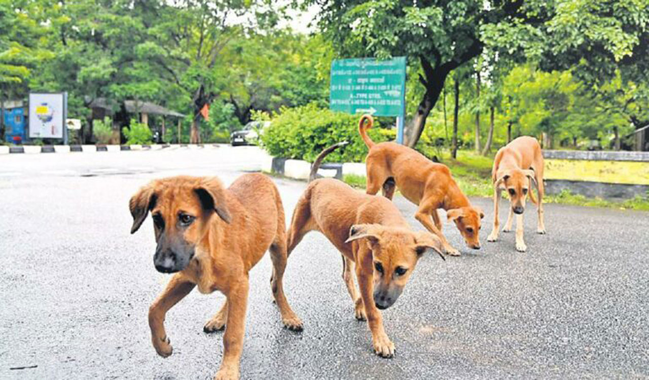 Madhya Pradesh: Six dogs found tied and stuffed in sacks; two booked