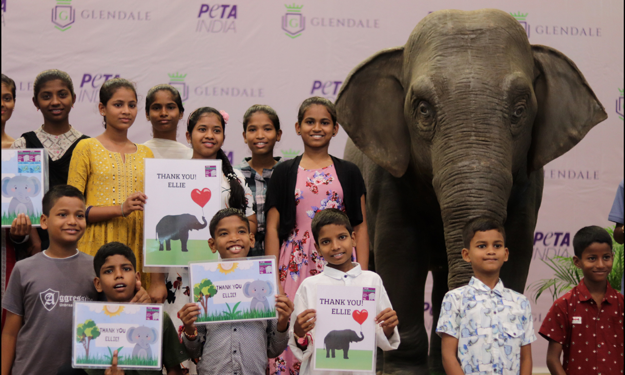 Asia’s first empathy-building animatronic elephant, ‘Ellie’ visits Hyderabad school