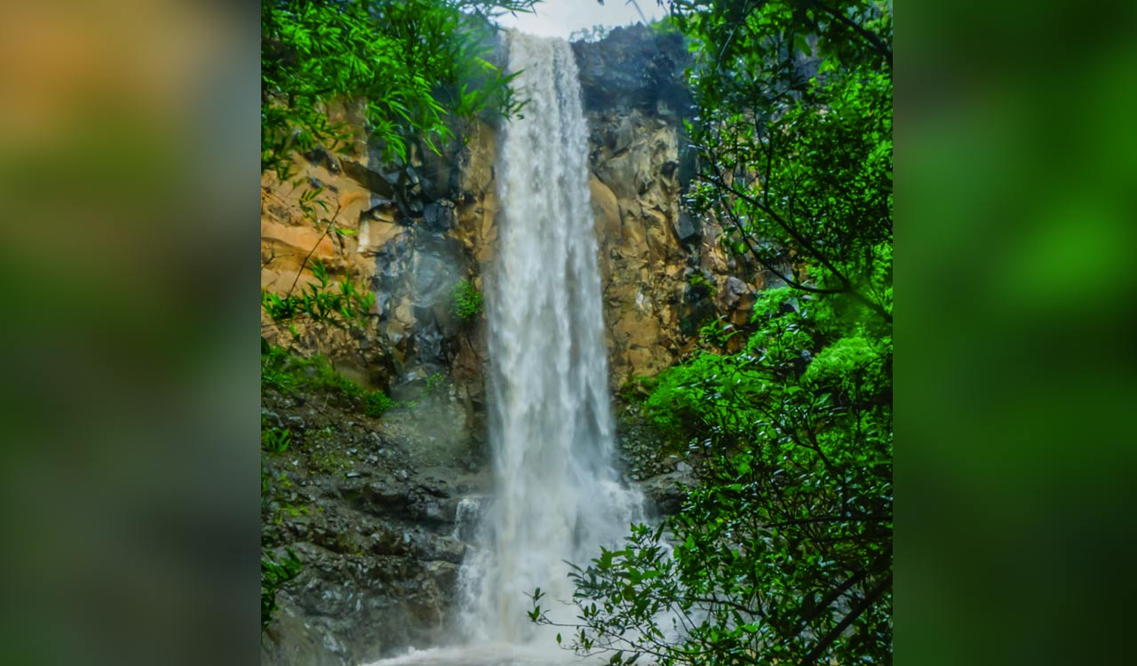 Selfie death: Polytechnic student who fell in Asifabad’s Gundala waterfalls yet to be traced