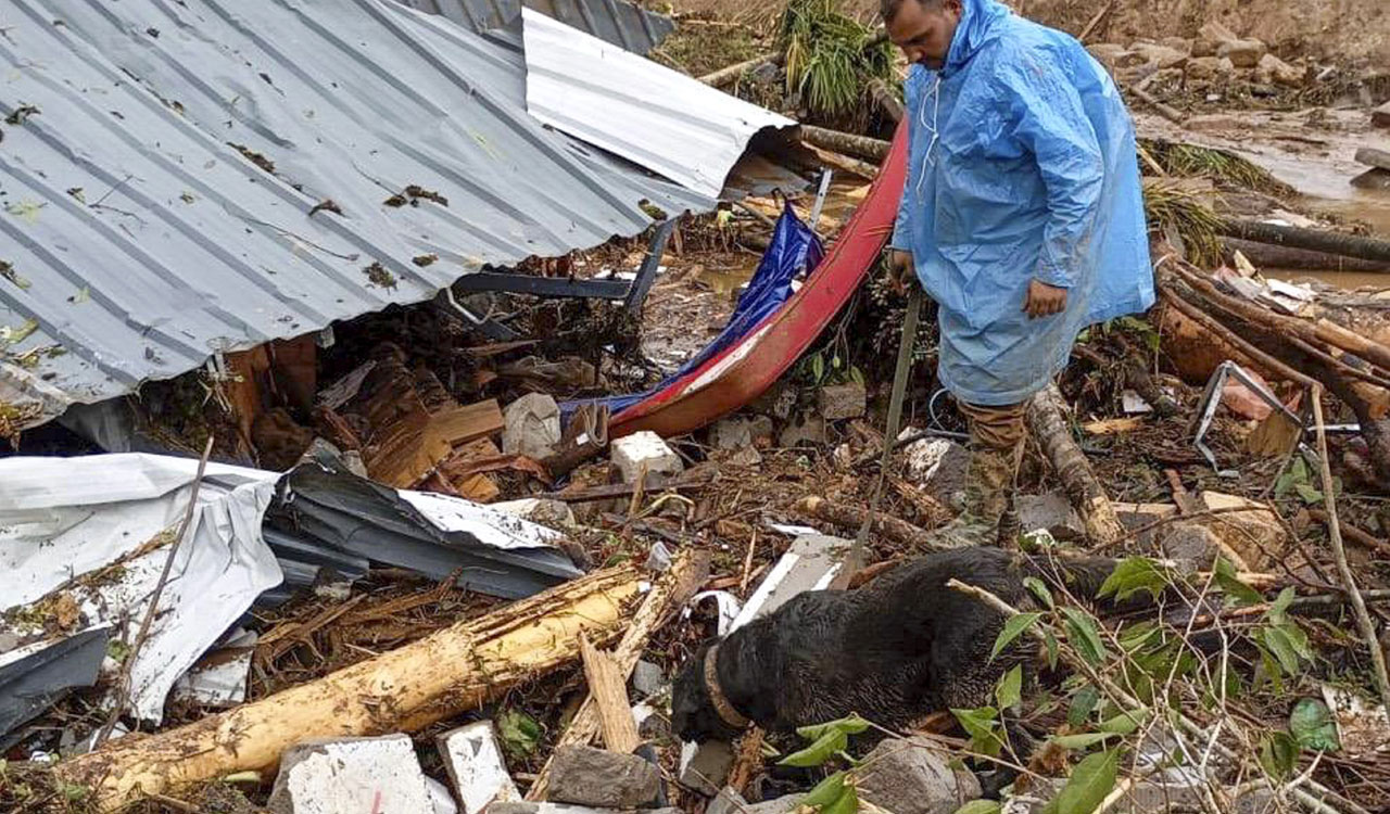 Wayanad: 1,300 rescuers race against time to search for survivors